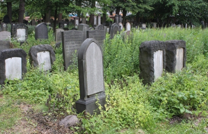 picture 00000-A-1-1-AF-jun2011.JPG