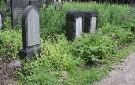 picture 00000-A1-1-1-AF-jun2011.JPG