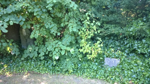 picture 00000-A1-13-1-JP-aug2015.jpg