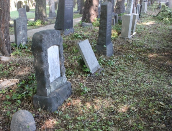 picture 00000-A11-1-1-AF-jul2011.jpg