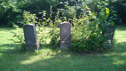 picture 00000-A2-13-1-JP-aug2015.jpg