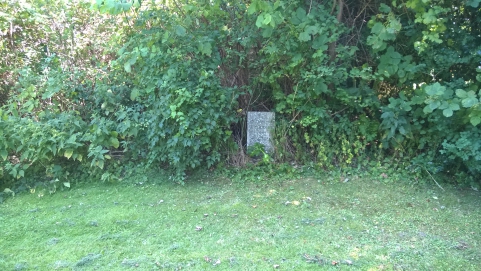 picture 00000-A3-13-1-JP-aug2015.jpg