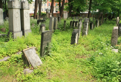 picture 00000-A6-1-1-JP-jun2011.JPG