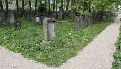 picture 00000-B-1-1-AF-apr2011.JPG