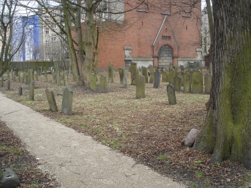 picture 00000-C-1-1-TB-apr2011.JPG