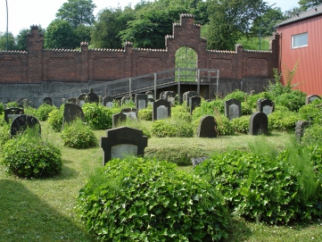picture 00000-C-8-1-TB-may2010.JPG