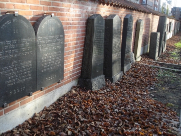 picture 00000-MG-1-1-TB-dec2011.JPG